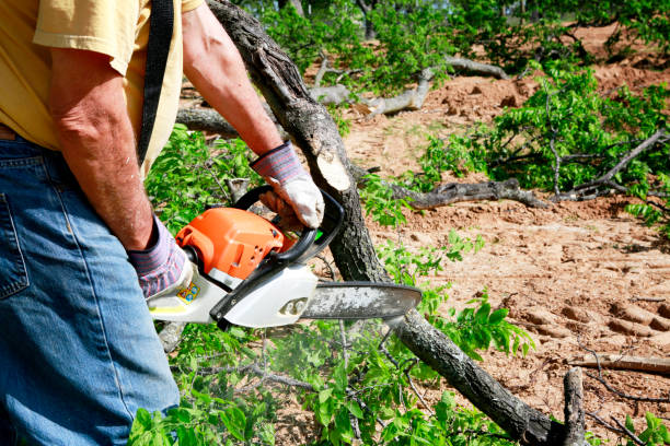 Residential Tree Removal in Hardwick, GA